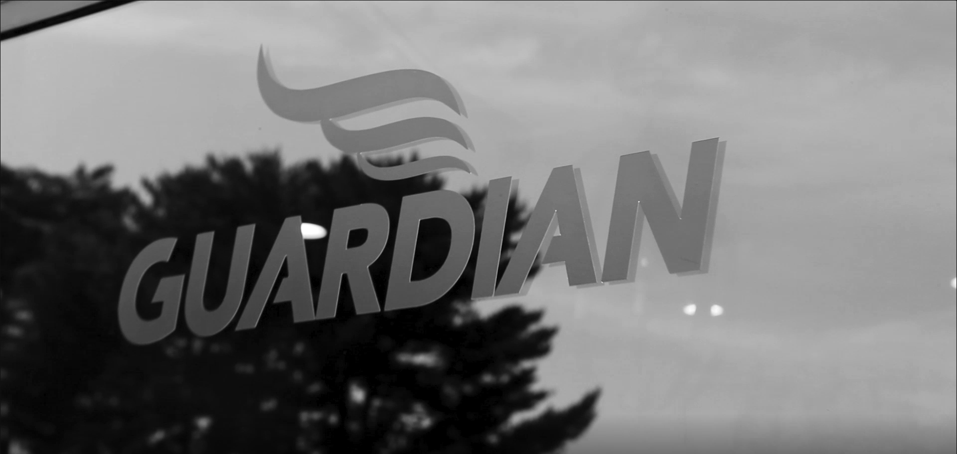 Erin Hanson - Owner, CEO - Guardian Sports